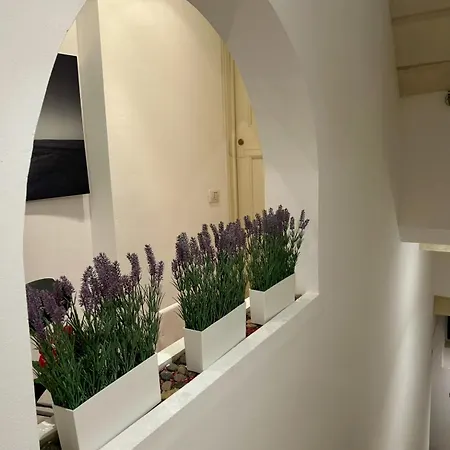 Sottolavolta Apartment