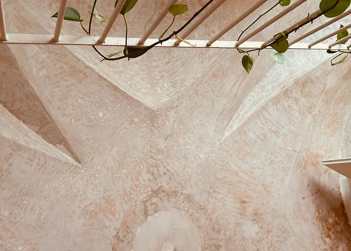 Daire Sottolavolta *